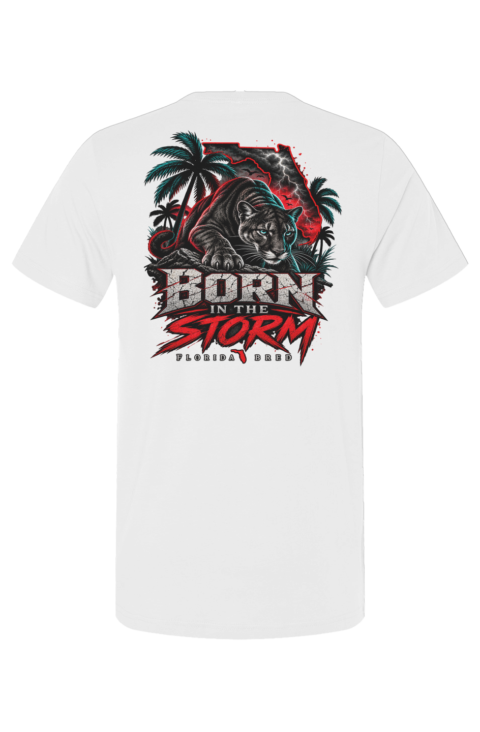 Born in the Storm