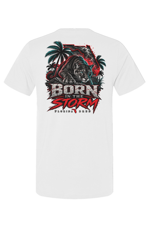 Born in the Storm